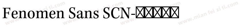 Fenomen Sans SCN字体转换